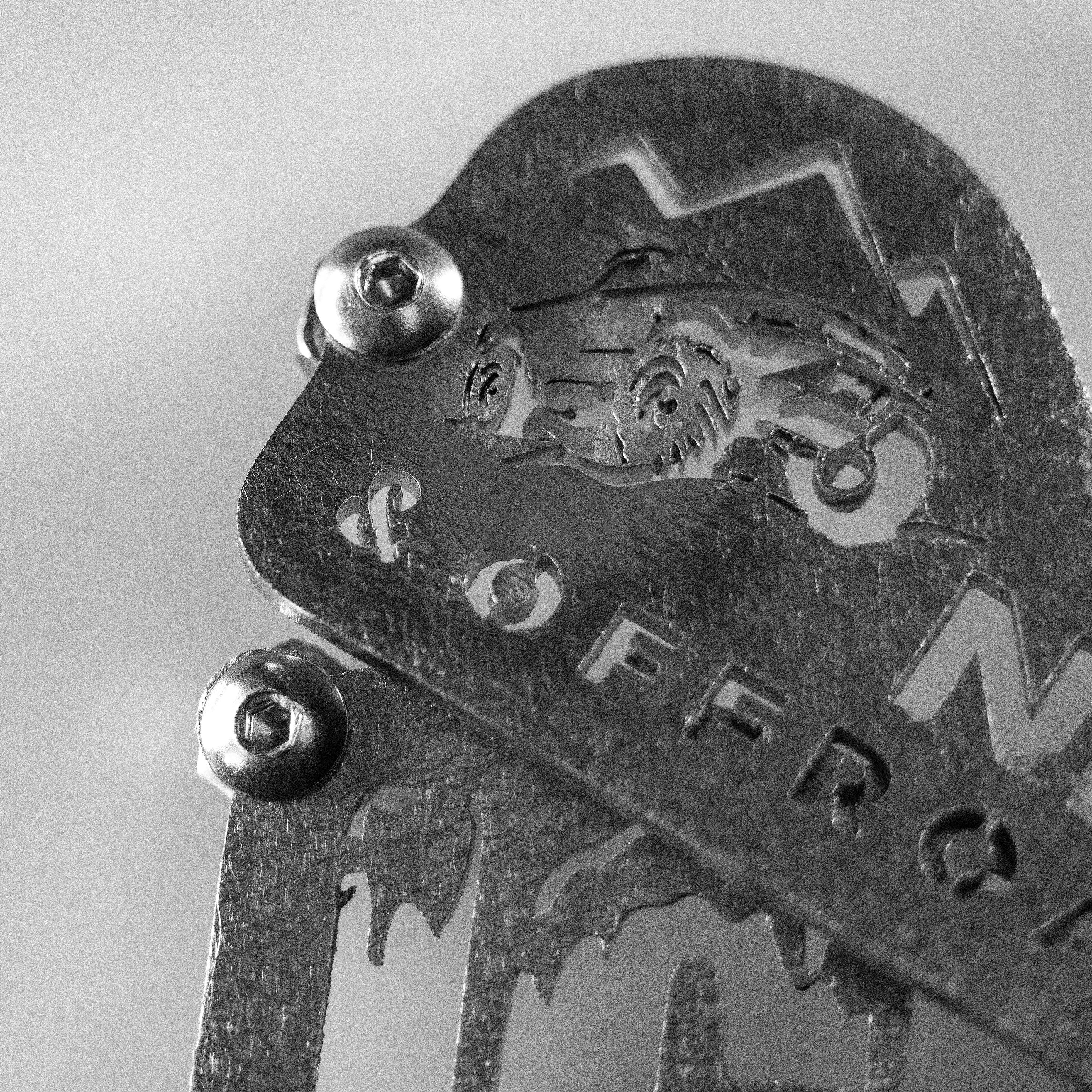 Kit de insignias: acero inoxidable cepillado Imagen secundaria del producto